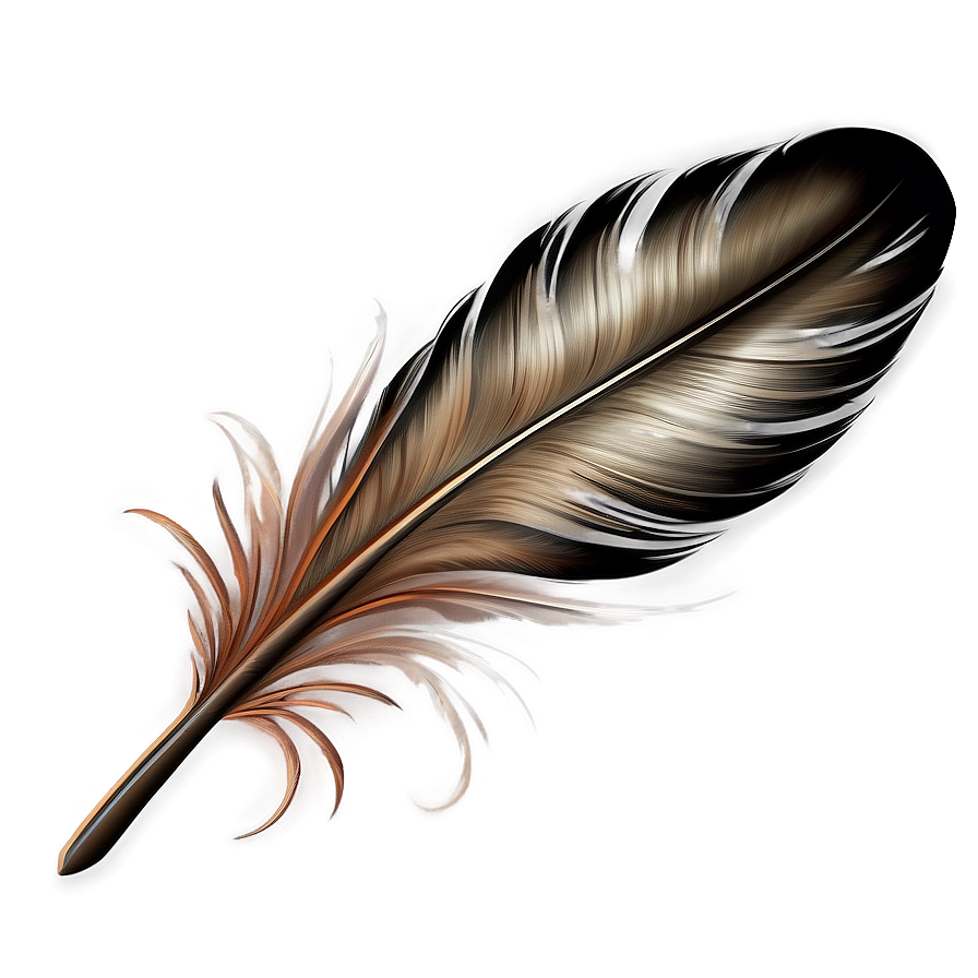 Boho Chic Feather Png 67