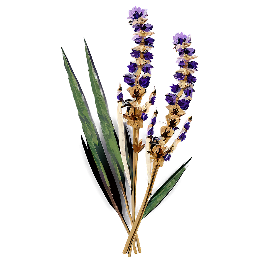 Boho Dried Flowers Png 06272024