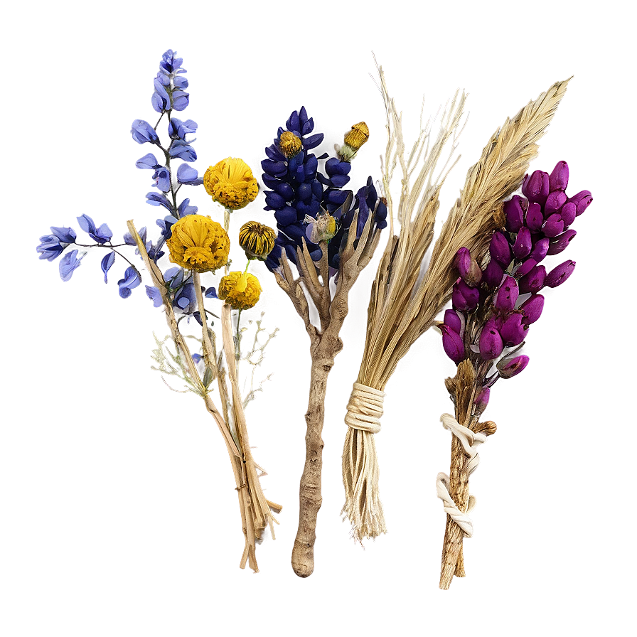 Boho Dried Flowers Png 06272024