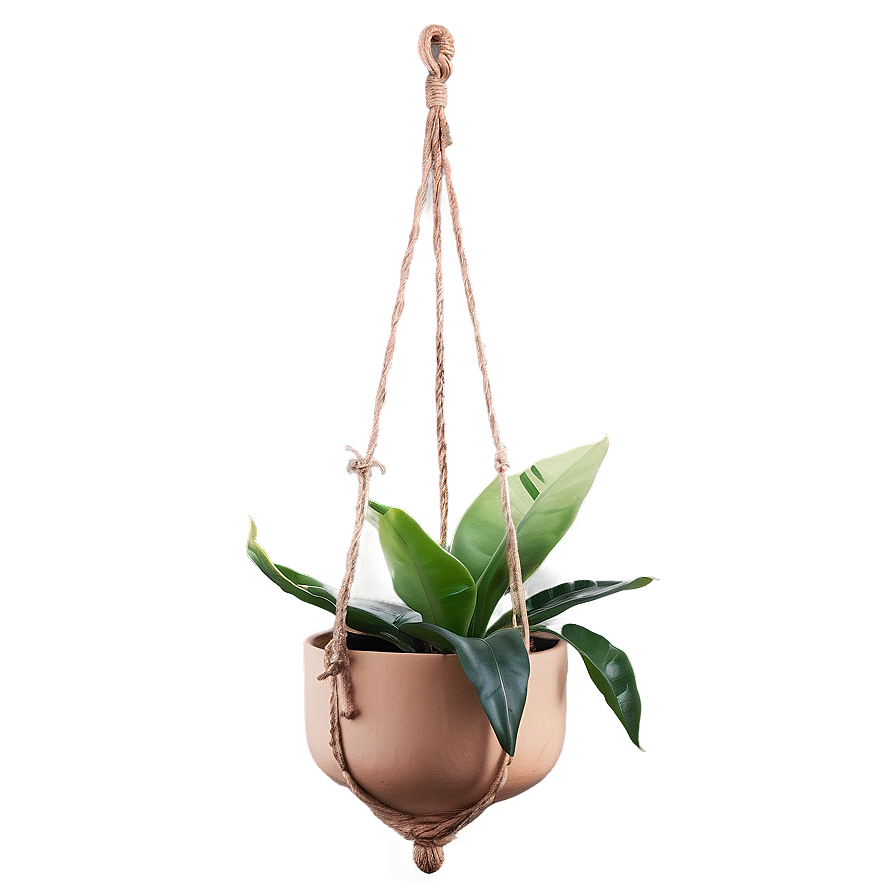 Boho Hanging Plant Png 05252024