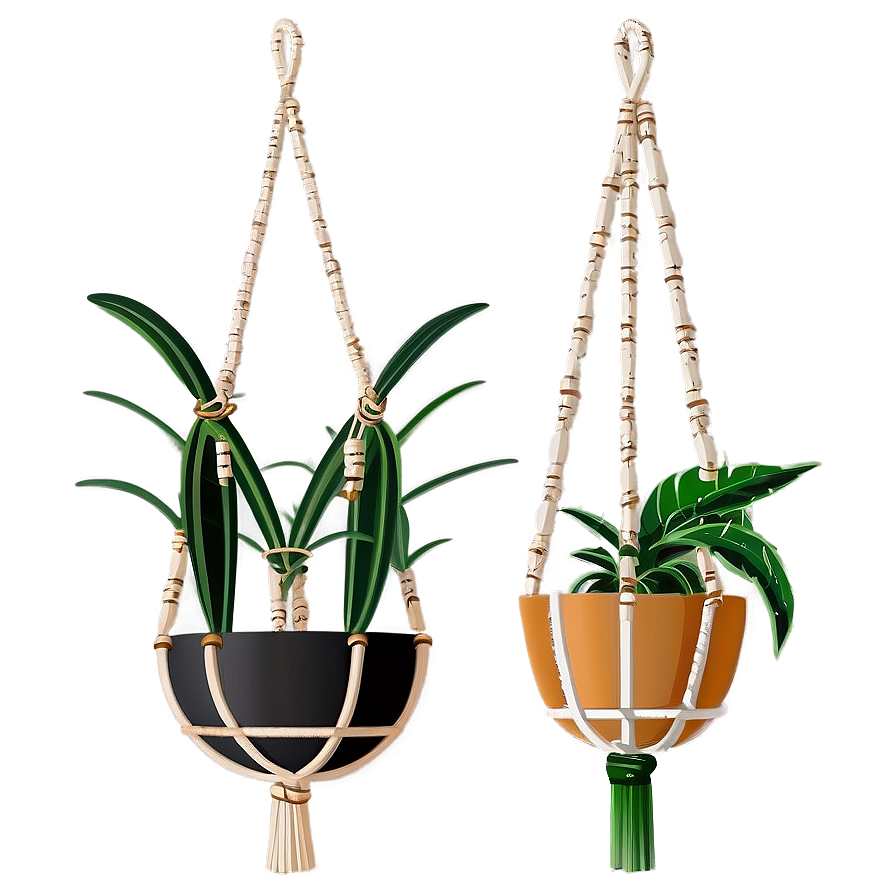 Boho Hanging Plant Png 05252024