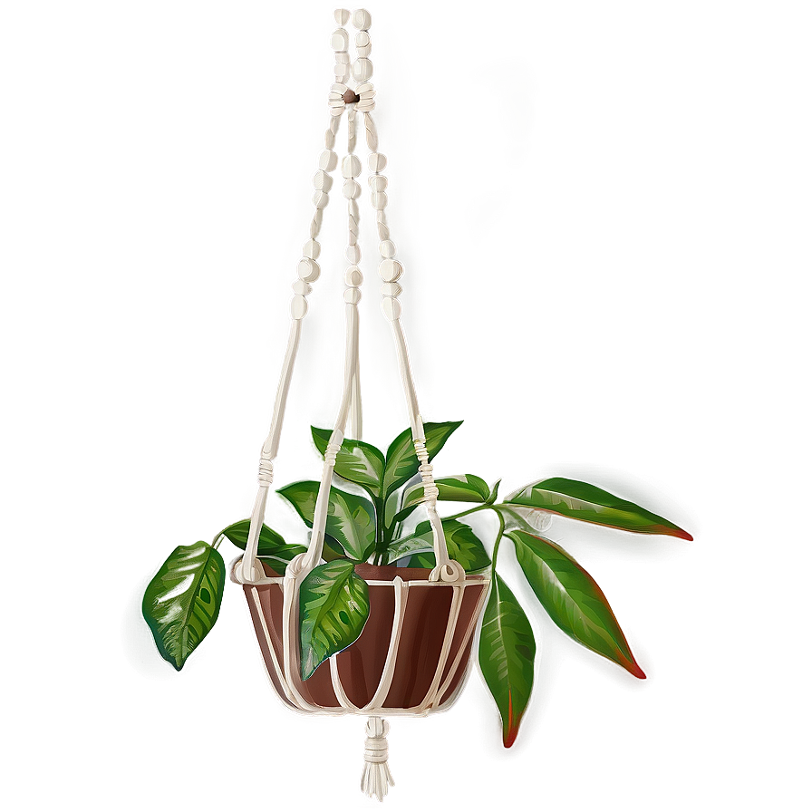 Boho Hanging Plant Png 6