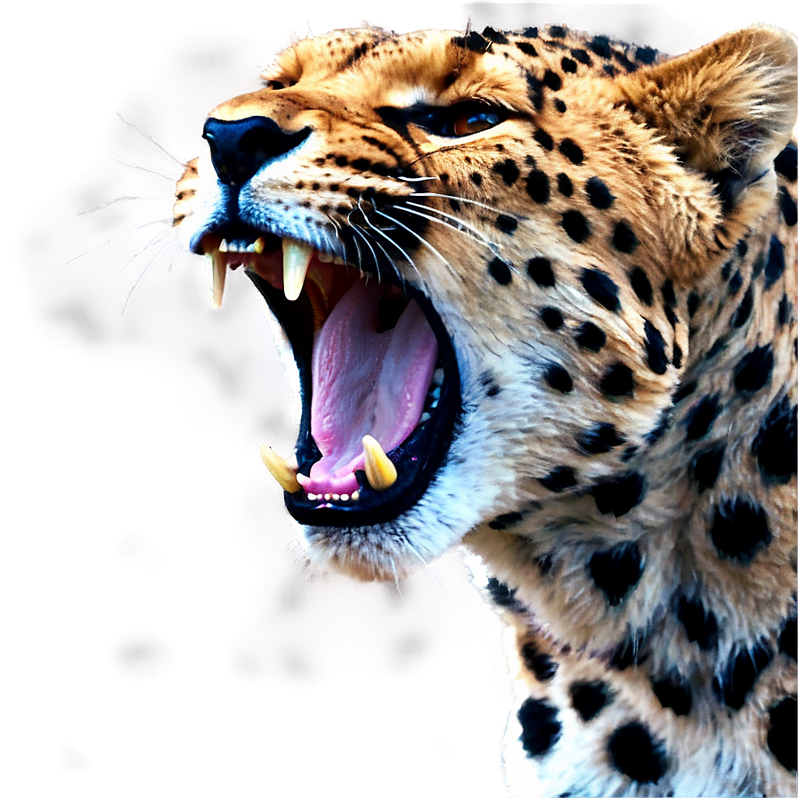 Bold Cheetah Roar Png Hfg