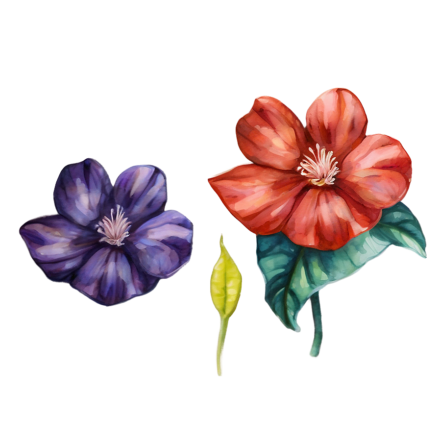 Bold Watercolor Bloom Png Weu88