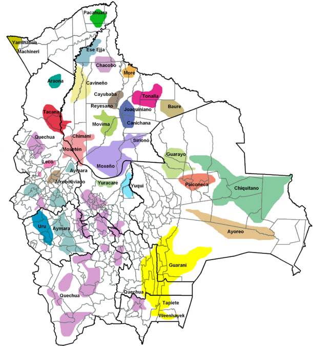 Bolivia Ethnolinguistic Map