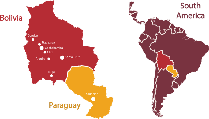 Boliviaand Paraguay Mapwith Cities