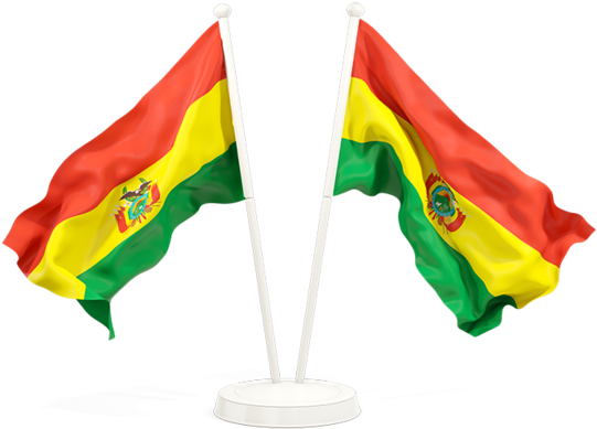 Bolivian Flagson Stands