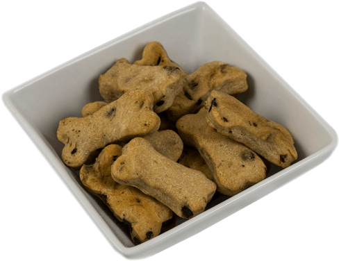 Bone Shaped Dog Biscuitsin Bowl