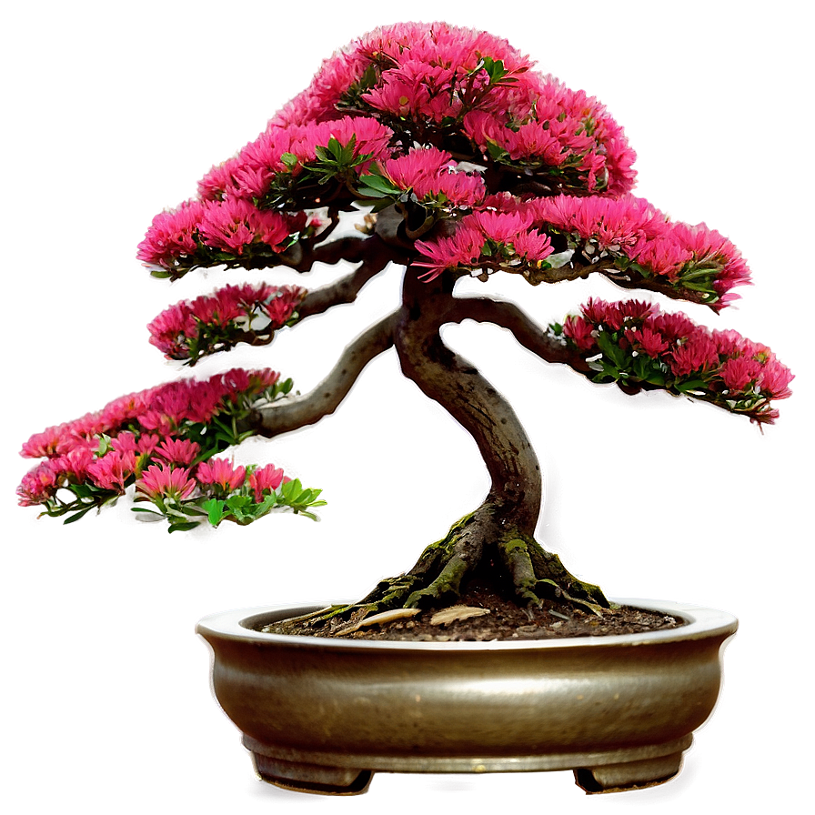 Bonsai Tree Art Png Lrj