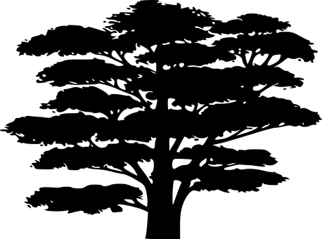 Bonsai Tree Black Background.jpg 458x340 PNG image with a transparent background, free high-resolution download