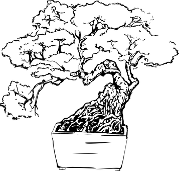 Bonsai Tree Black Background.jpg 357x340 PNG image with a transparent background, free high-resolution download