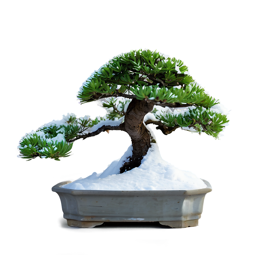 Bonsai Tree In Snow Png 06202024