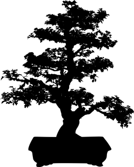 Bonsai Tree Silhouette PNG image with a transparent background, free high-resolution download