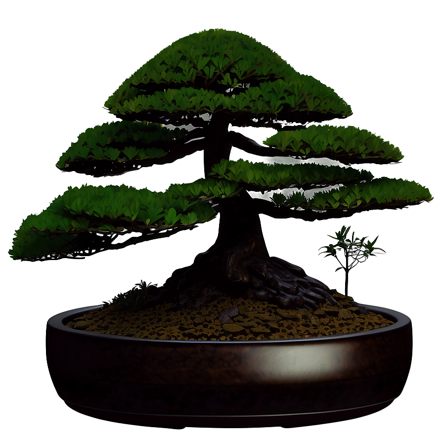 Bonsai Tree Silhouette Png Ecs