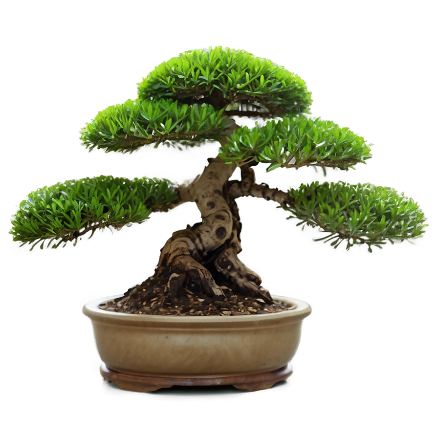 Bonsai Tree With Mountain Background Png 06202024