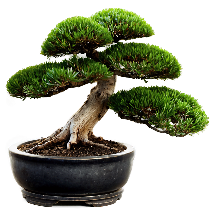 Bonsai Tree With Mountain Background Png Lyp