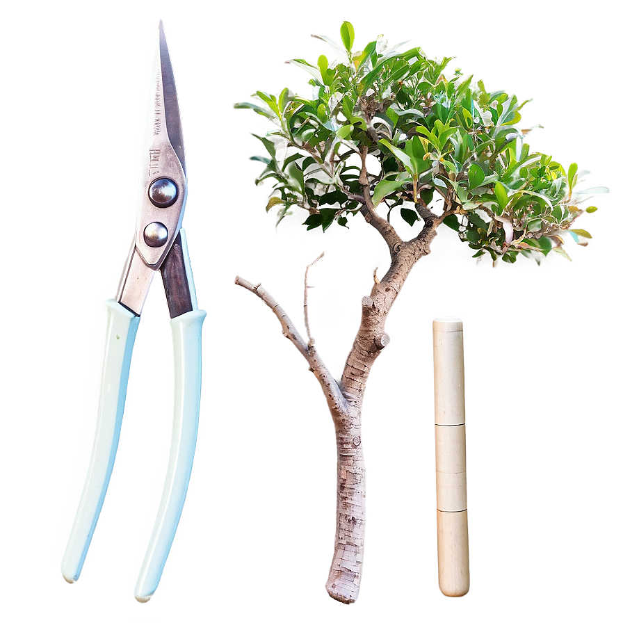 Bonsai Trimming Shears Png Tnc