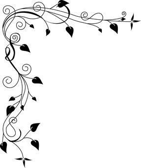 Borderless Black Canvas PNG with transparent background