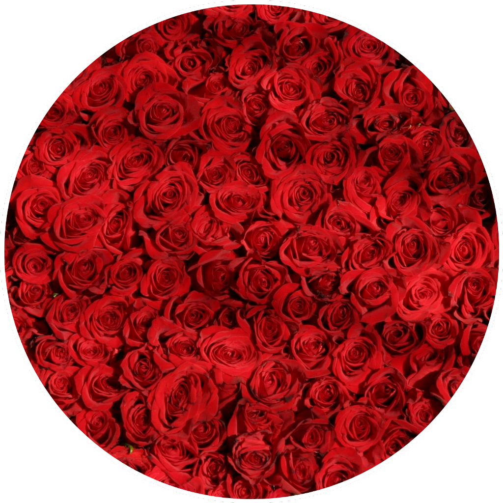 Transparent Red Circle Frame Png - Roses Wallpaper Iphone X, Png Download PNG with transparent background