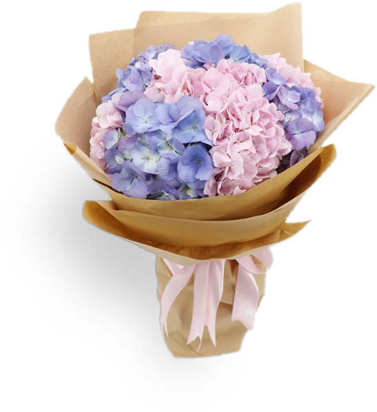 Transparent Hydrangea Png - Hydrangea Bouquet, Png Download PNG with transparent background