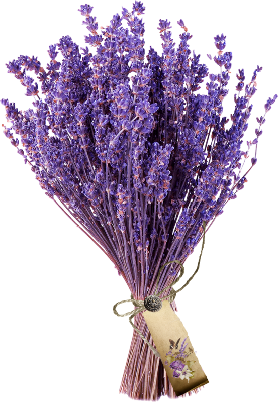Bouquetof Lavender Flowers.png PNG with transparent background