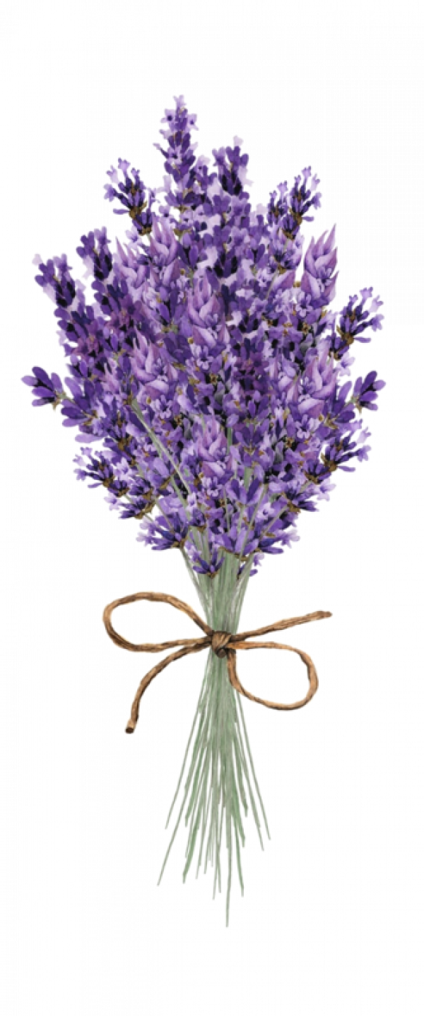 Bouquetof Lavender Flowers.png PNG with transparent background