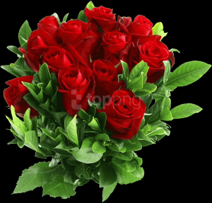 Bouquetof Red Roses Black Background