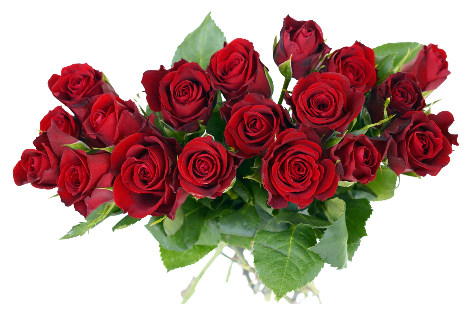 Bouquetof Red Roses