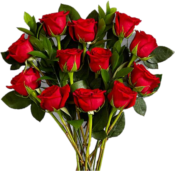 Dozen Gushing Red Rose - Red Roses, HD Png Download PNG with transparent background
