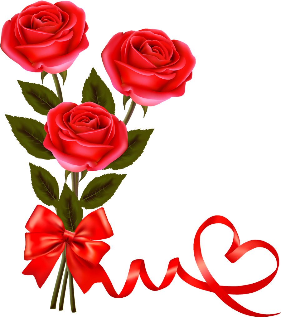Love Gift Red Rose Png - Valentine Day Red Rose, Transparent Png PNG with transparent background