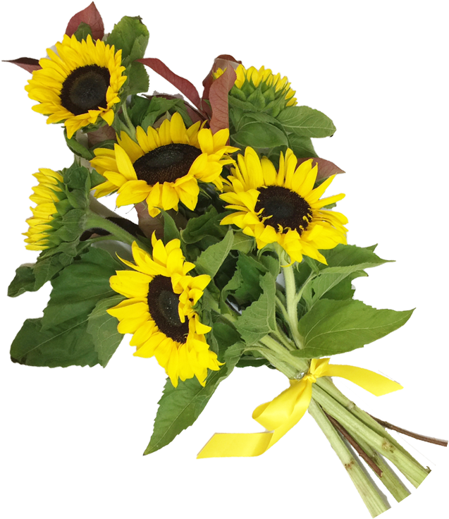 Bouquetof Sunflowerswith Yellow Ribbon