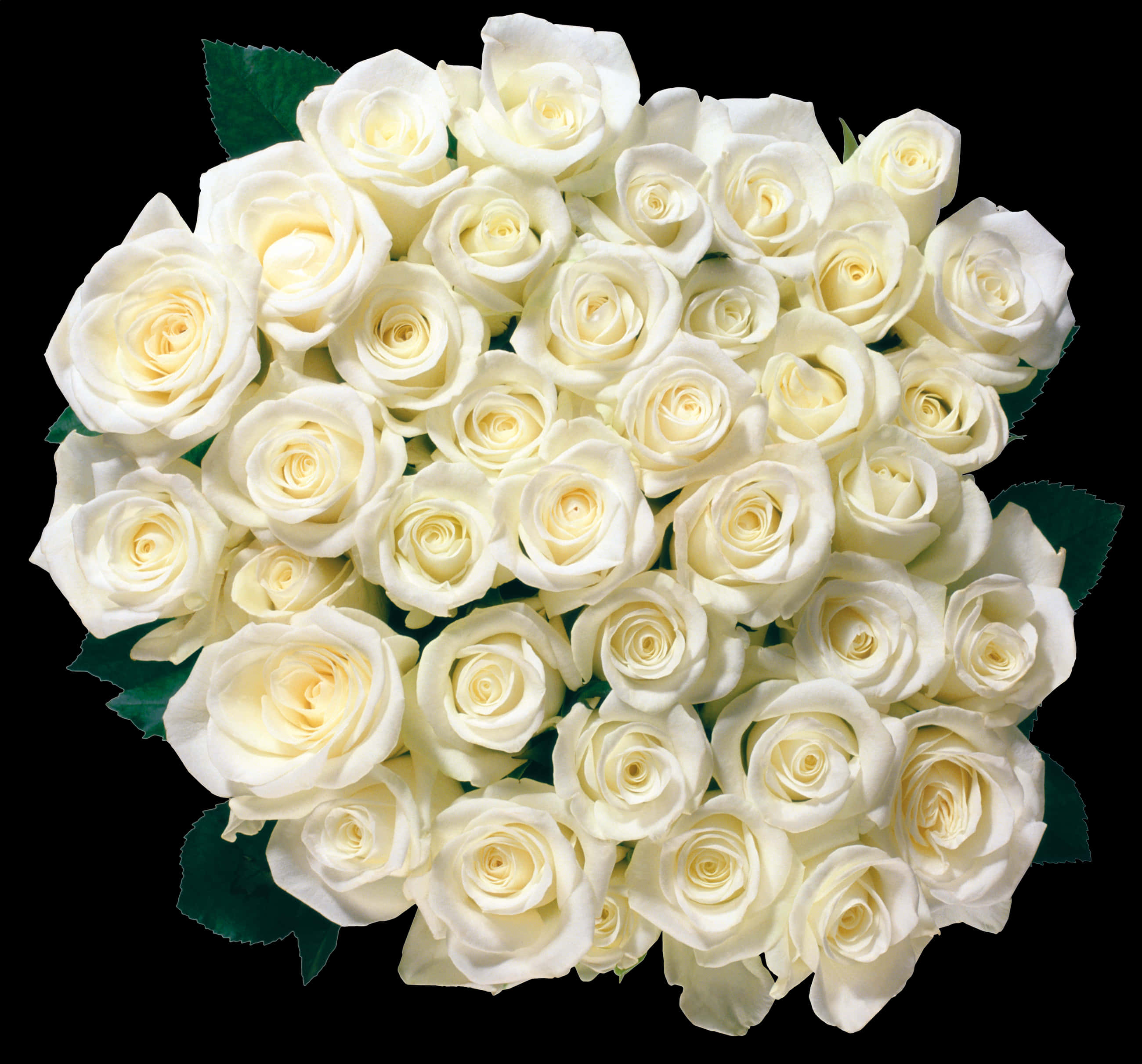 Bouquetof White Roses PNG with transparent background