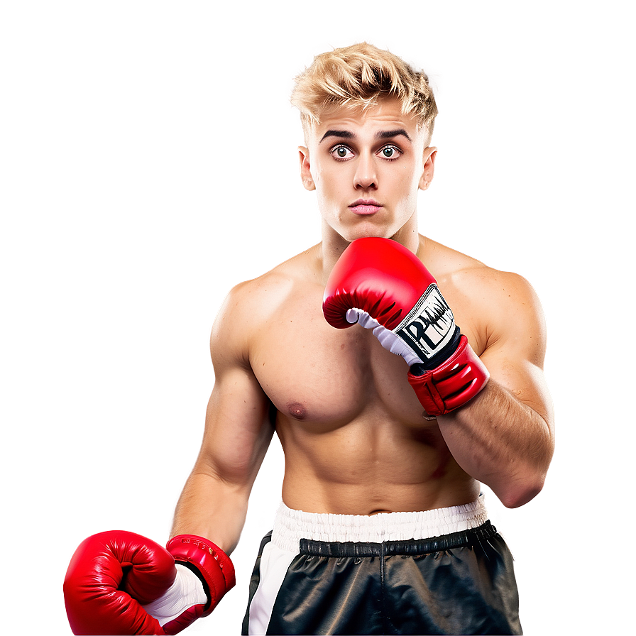 Boxer Readyfor Fight PNG image with a transparent background, free high-resolution download