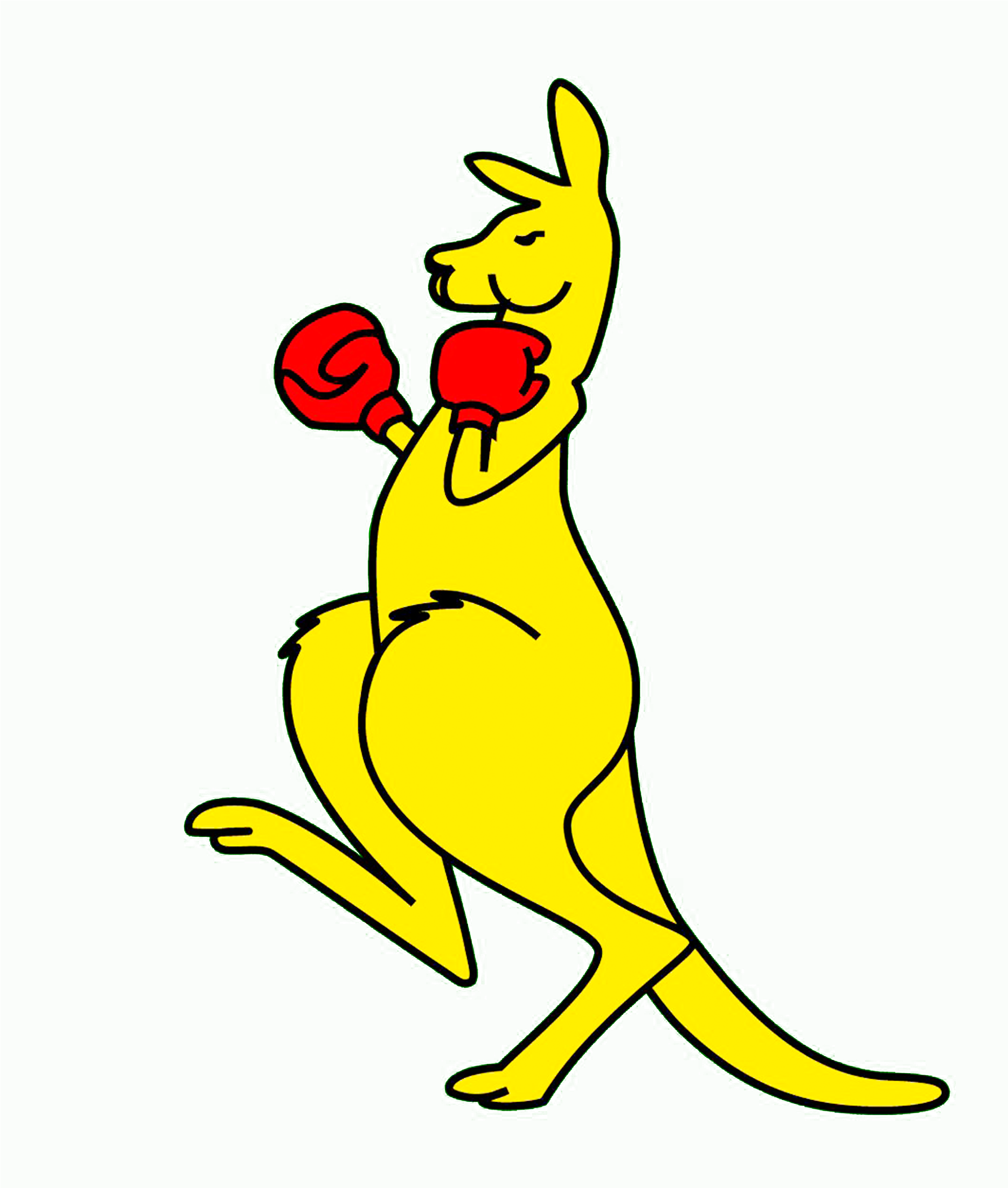 Boxing Kangaroo Cartoon Illustration