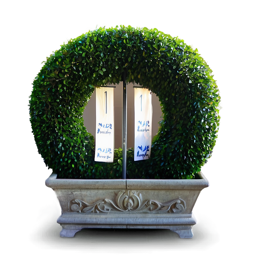 Boxwood For Event Decor Png 63