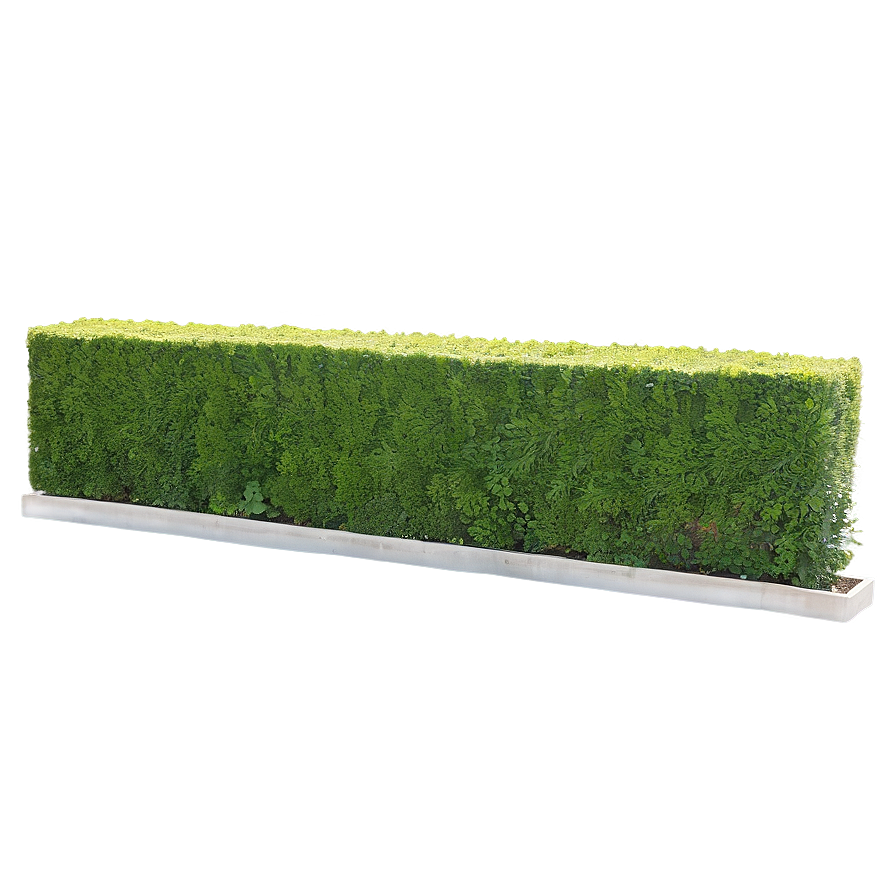 Boxwood Hedge Png Jcg