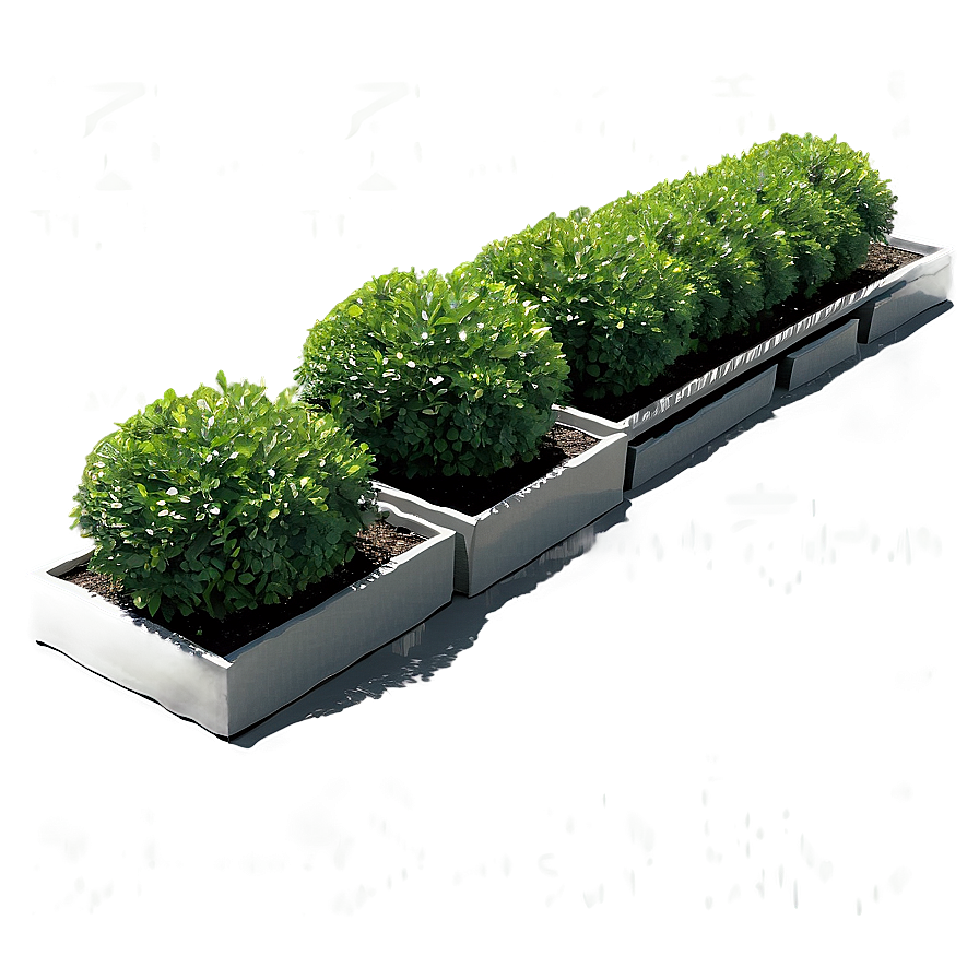 Boxwood Landscape Png Nsn