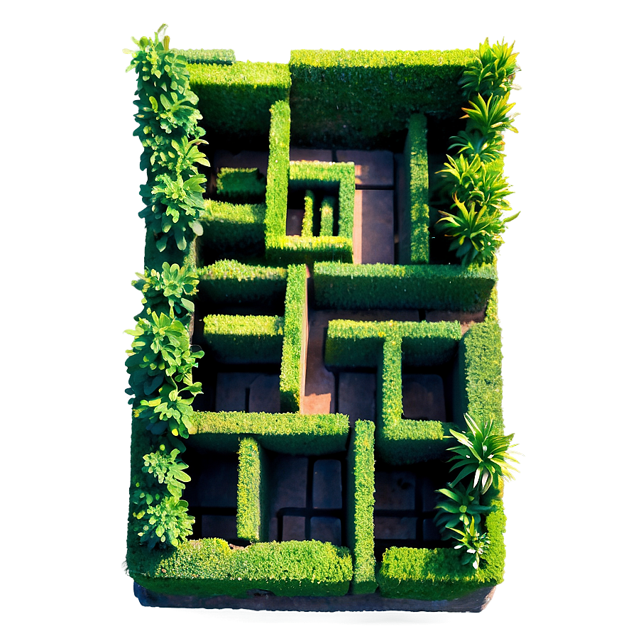 Boxwood Maze Png 44