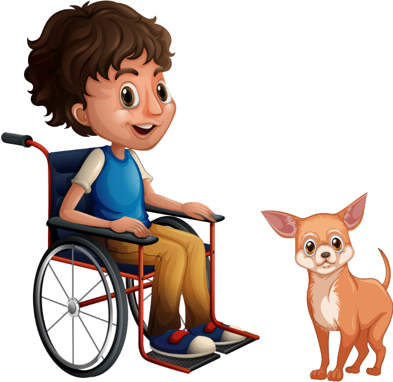 Boyin Wheelchairwith Chihuahua