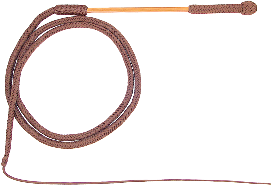 Braided Leather Whip