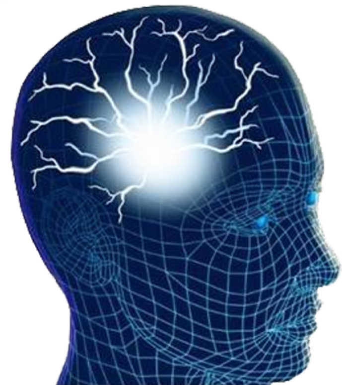 Human Brain Png Image - Human Brain Images Hd Png, Transparent Png PNG with transparent background