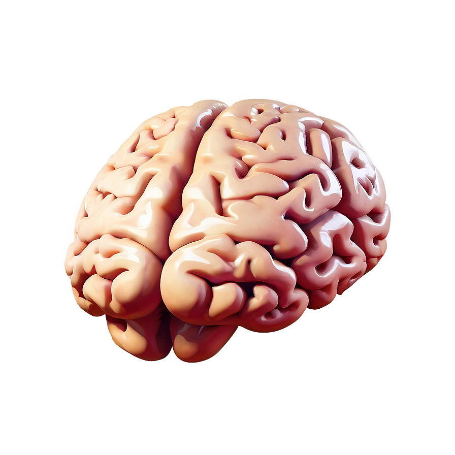 Brain Icon Flat Png 24