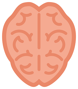 Brain Illustration Graphic PNG with transparent background