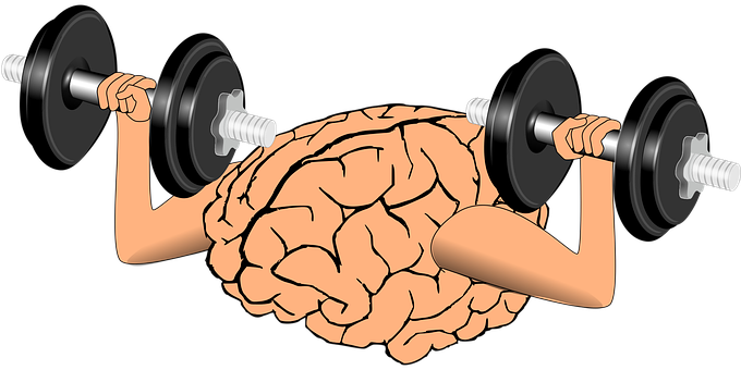 Brain_ Lifting_ Weights_ Concept PNG with transparent background