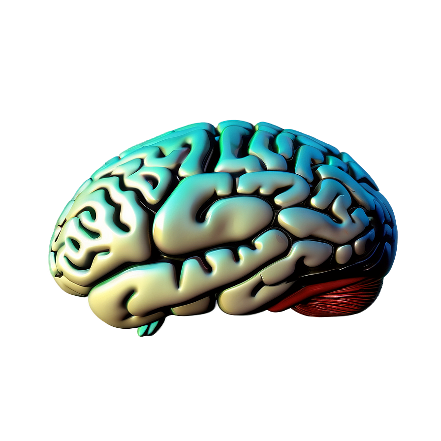 Brain Mind Map Png Mla