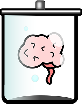 Brainina Jar Cartoon PNG with transparent background