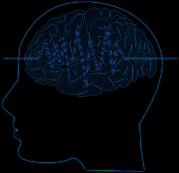 Brainwave Activity Outline PNG image with a transparent background, free high-resolution download