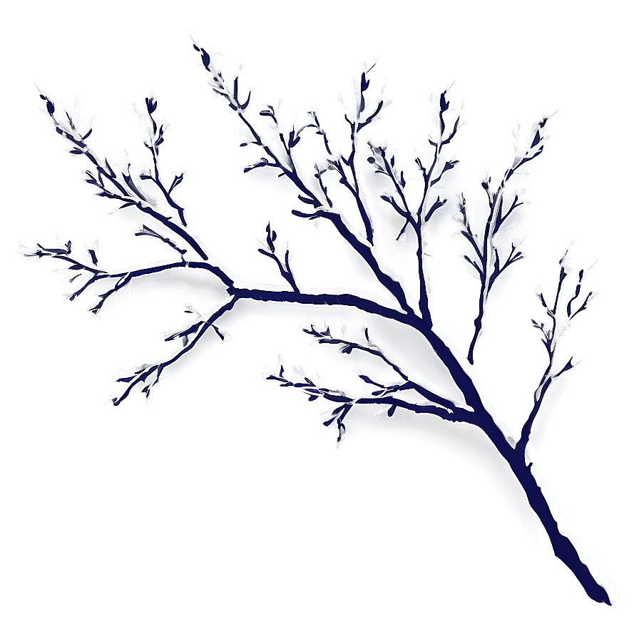 Branches Illustration Png 06272024