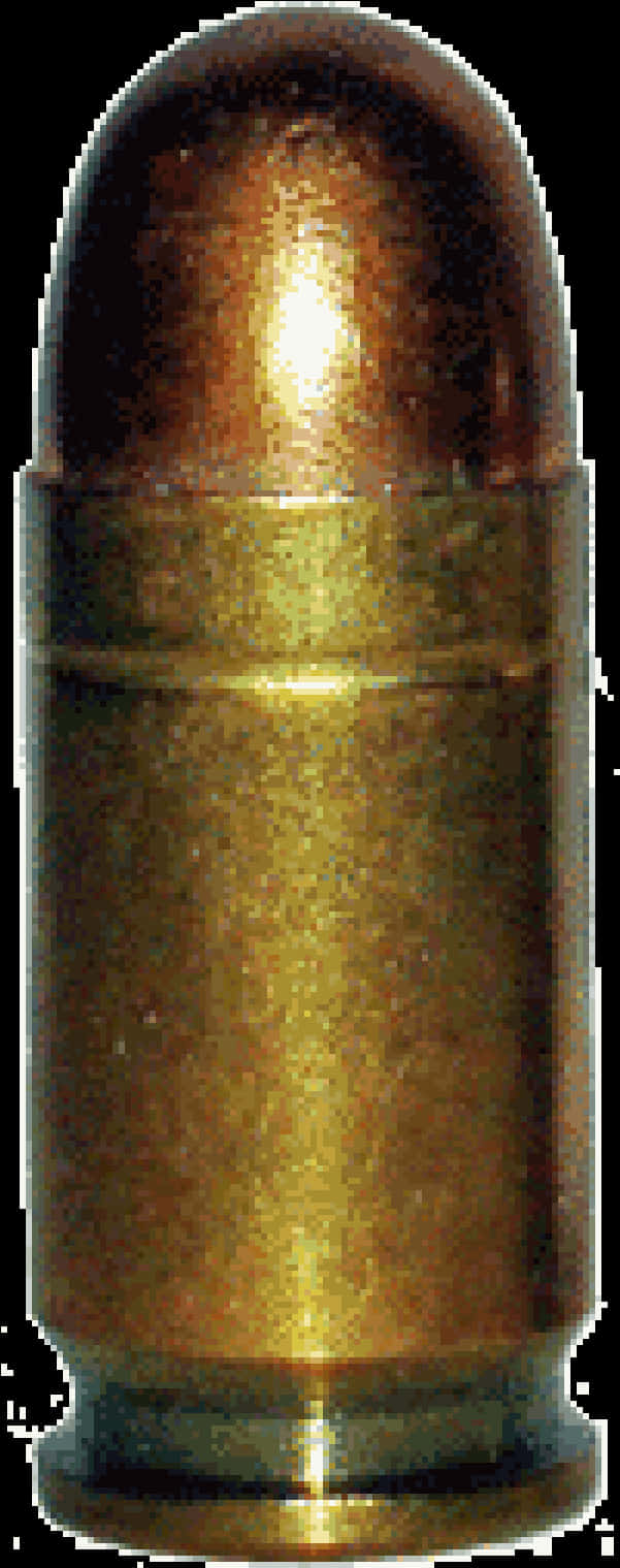 Brass Bullet Cartridge