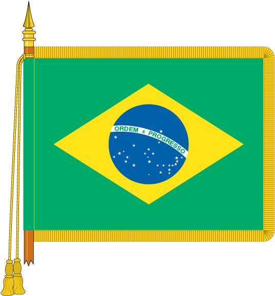 Brazilian National Flag Illustration